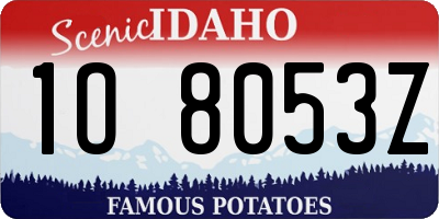 ID license plate 1O8053Z