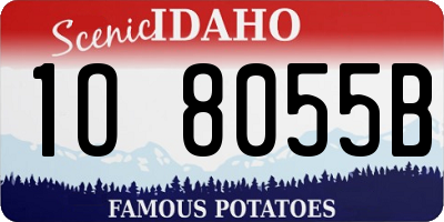 ID license plate 1O8055B
