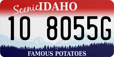 ID license plate 1O8055G