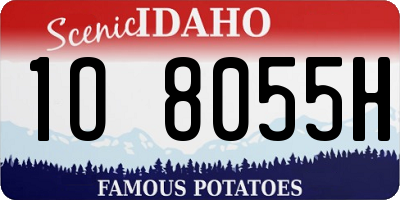 ID license plate 1O8055H