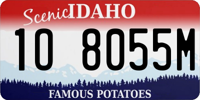 ID license plate 1O8055M