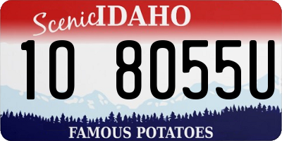 ID license plate 1O8055U