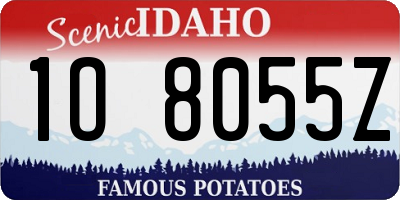 ID license plate 1O8055Z