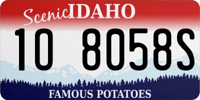 ID license plate 1O8058S