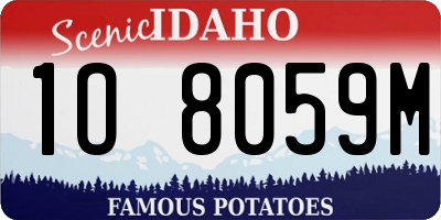 ID license plate 1O8059M