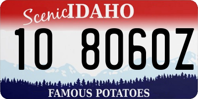ID license plate 1O8060Z