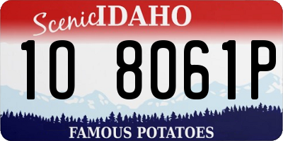 ID license plate 1O8061P