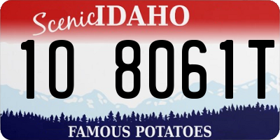 ID license plate 1O8061T
