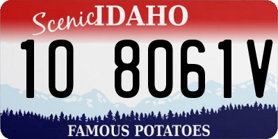 ID license plate 1O8061V