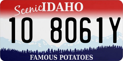 ID license plate 1O8061Y