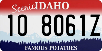 ID license plate 1O8061Z
