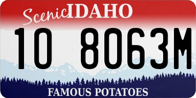 ID license plate 1O8063M