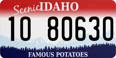 ID license plate 1O8063O
