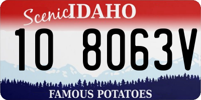 ID license plate 1O8063V