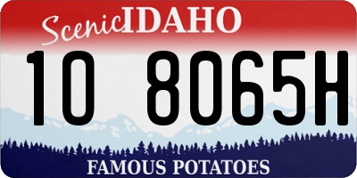 ID license plate 1O8065H