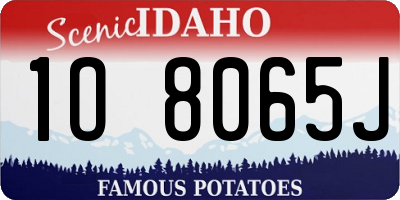 ID license plate 1O8065J