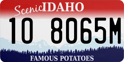 ID license plate 1O8065M