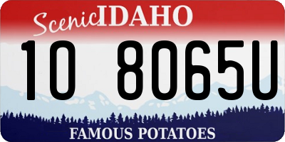 ID license plate 1O8065U