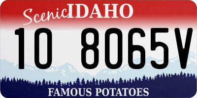 ID license plate 1O8065V