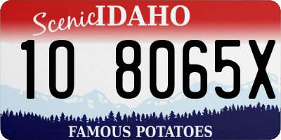ID license plate 1O8065X