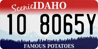 ID license plate 1O8065Y