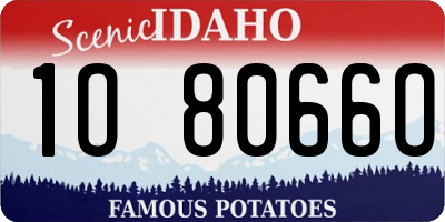 ID license plate 1O8066O