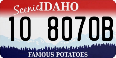ID license plate 1O8070B