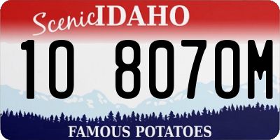 ID license plate 1O8070M