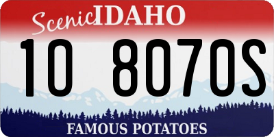 ID license plate 1O8070S