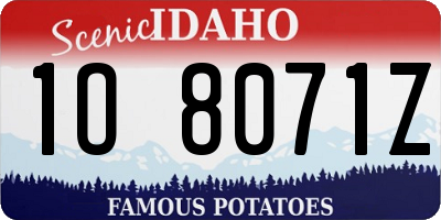 ID license plate 1O8071Z