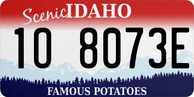 ID license plate 1O8073E
