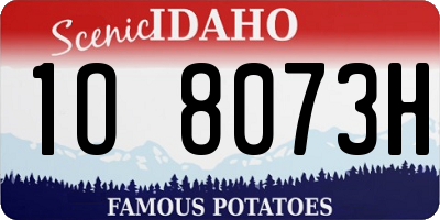 ID license plate 1O8073H