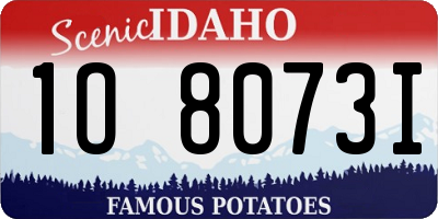 ID license plate 1O8073I