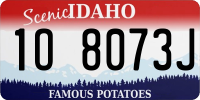 ID license plate 1O8073J