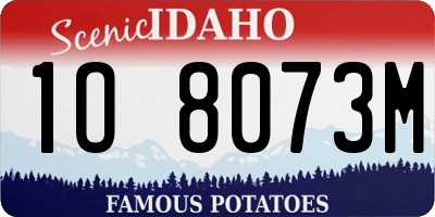 ID license plate 1O8073M
