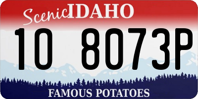 ID license plate 1O8073P