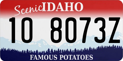 ID license plate 1O8073Z