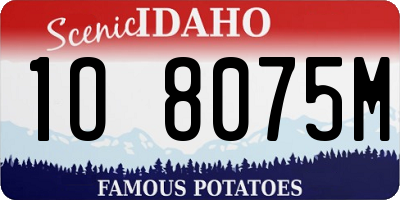 ID license plate 1O8075M