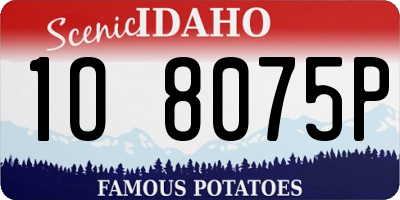 ID license plate 1O8075P