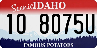 ID license plate 1O8075U