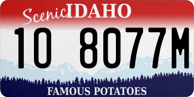 ID license plate 1O8077M