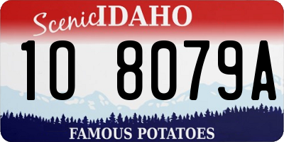 ID license plate 1O8079A