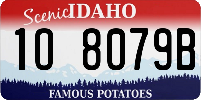 ID license plate 1O8079B