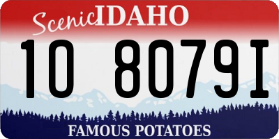 ID license plate 1O8079I