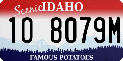 ID license plate 1O8079M
