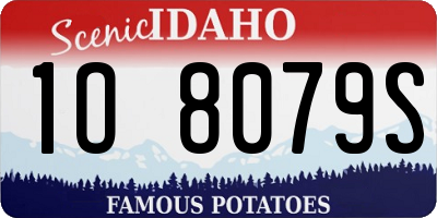 ID license plate 1O8079S