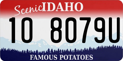 ID license plate 1O8079U