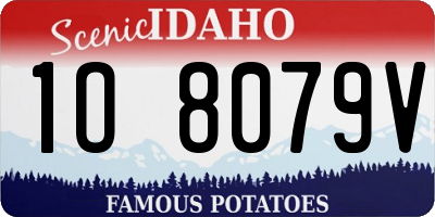 ID license plate 1O8079V