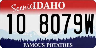 ID license plate 1O8079W