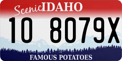 ID license plate 1O8079X